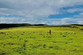 丽江小众秘境指南｜林那谷：徒步、观星、赏花新地标图片
