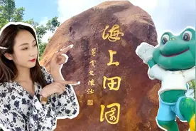 深圳一4A景区绿化好，但展馆破旧、设备老化，收费项目多图片