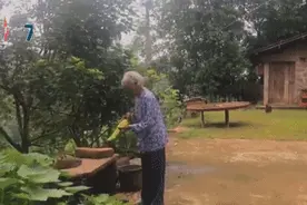 孙女偷偷回家，86岁奶奶开心到跺脚……图片