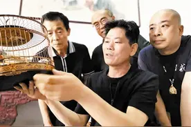 探秘鸟笼中的“爱马仕”图片