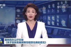 楼市“新物种”，保障性租赁住房深度解读（上）图片