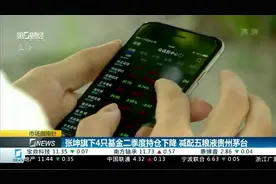张坤旗下4只基金二季度持仓下降 减配五粮液贵州茅台视频封面