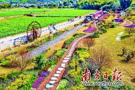 黄埔 美丽变革 乡村入画图片