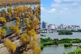 胡杨情长 红船领航——探访第十批嘉兴援疆干部人才的“沙雅足迹”图片