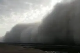 旅行团遇罕见沙尘暴，众人蹲在一起抱团避险，最终安全返回图片