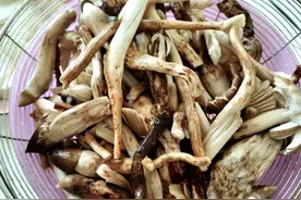 美食厨房 | 当鸡枞遇上火腿，用蒸饺诠释美味图片