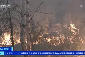 俄罗斯西伯利亚林火肆虐！“冰城”空气污染严重，大部分航班延误图片
