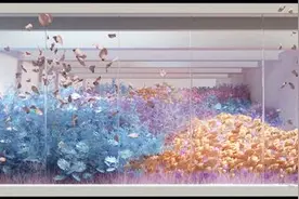 年内连摘7项大奖 业界点赞上海机场广告创意图片