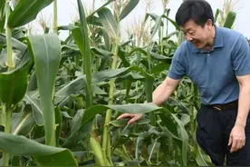 黎仁寅调研新邵乡村振兴工作图片