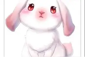 耐耐老师讲故事 |《胆小的兔子》图片