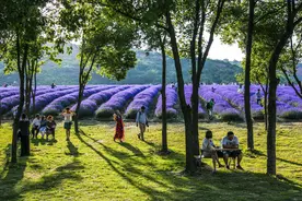 数量全国最多！江苏4条线路入选2021中国美丽乡村休闲旅游行（夏季）精品线路图片