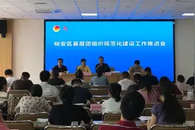 【推优入党】团六安市裕安区委推进两个“推优”工作图片