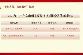 文山红色故事丨越南人民军主力部队入文受训图片