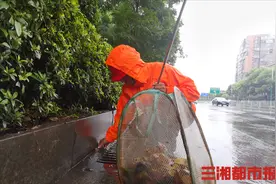 环卫工兑换百元现金赠拾荒老人，小小善举感动无数人，他却说：“她更不容易”图片