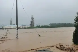 暴雨来了怎么自救？这12个“如何做”转给有需要的人图片
