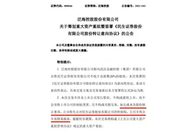 民生证券翻开新一页！武汉金控接手20%股权，泛海全面退出，股权分散的民生正为IPO扫清最大障碍图片