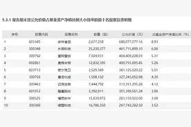 又一基金名将认错与反思：迎来史上业绩最差季度，朱少醒、梁浩、袁芳、陈皓、归凯等各自亮出最新持仓图片