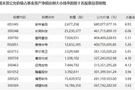 又一基金名将认错与反思：迎来史上业绩最差季度，朱少醒、梁浩、袁芳、陈皓、归凯等各自亮出最新持仓图片