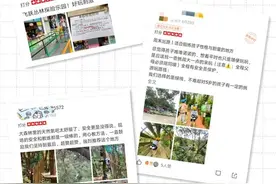 暑假限定 | 夏日嗨游，低至19.9，请接住！图片