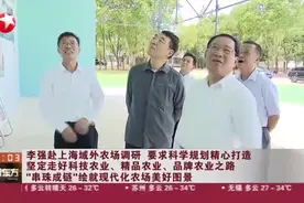 李强赴上海域外农场调研  要求科学规划精心打造坚定走好科技农业、精品农业、品牌农业之路  “串珠成链”绘就现代化农场美好图景视频封面