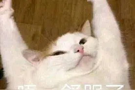 弹窗问题频出，手机端开屏清净了，PC端整改请紧跟上图片