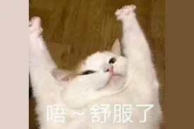 弹窗问题频出，手机端开屏清净了，PC端整改请紧跟上图片