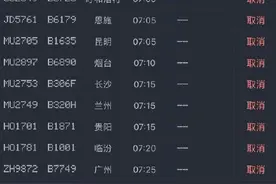 注意！成都飞南京逾半出港航班宣布取消图片