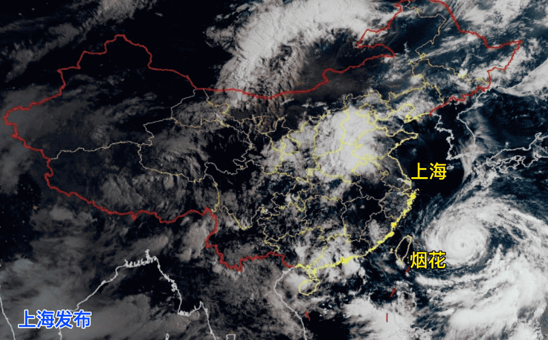 暴雨来袭！溺水、触电如何正确施救，最全应急自救指南来了图片