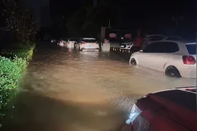 郑州，雨停了图片