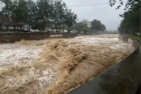 停水停电缺饲料，河南特大暴雨致部分养猪场受损，当地养殖户：正在自救图片