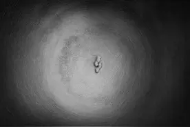 线上谈｜学者戴菲对吴永长作品《平行的世界》的解读图片