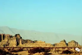 野在巴楚图片