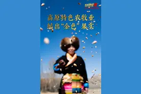 数说宝“藏”·70年巨变丨西藏农牧业跨越式发展结出“金色”果实图片