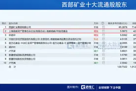 邓晓峰为什么要重仓西部矿业？图片