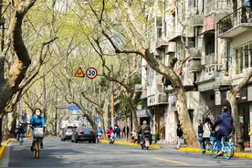 上海马路那么多，他们为何扎根愚园路？图片