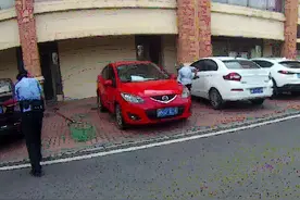 流浪狗当街行凶咬人，蜀黍快速出击图片