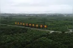 赵奇玲到龙胜各族自治县调研视频封面