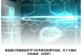 大脑的奥秘①｜人类大脑如何运作？真的只被使用了10%？图片