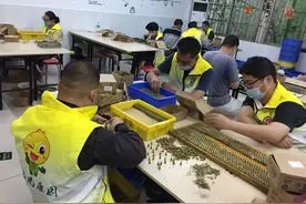 广东初步建成残疾人大数据分析平台，已有残疾人证数据超217万条图片