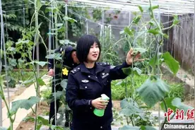 西藏戍边女民警李冬雪：有爱就没有远方图片