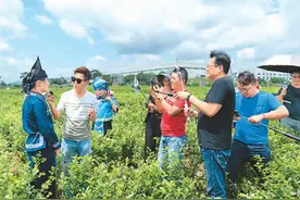 “我已经深深地喜欢上了这里”图片