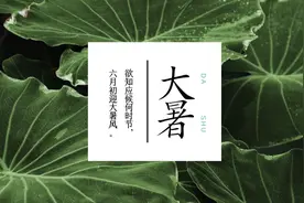 今日大暑，你听过小海豹的叫声吗？图片