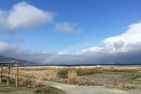 月咏幻：在日本农村长大是种幸福？说说我的亲身体验图片