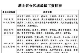 湖北将上调最低工资标准图片