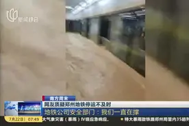 网友质疑郑州地铁停运不及时视频封面