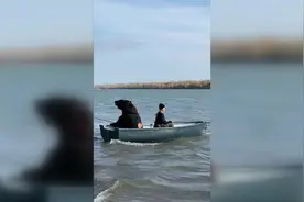 俄罗斯一女子收养棕熊当宠物 带它去湖中钓鱼图片