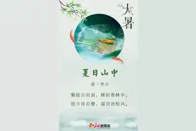大暑·诗节｜竹深树密虫鸣处，时有微凉不是风图片