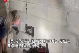 美国女消防员砸开车库墙壁 救出被困5天的狗狗图片