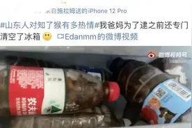 山东人对知了猴有多热情？图片