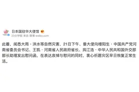 日本：就河南遭受大雨洪水灾害表达慰问，衷心祈愿灾区早日恢复正常生活图片